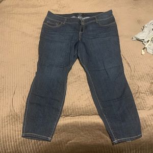 Torrid jeans